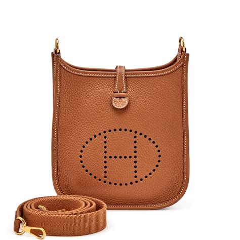 hermes evelyne tpm gold|hermes evelyne review.